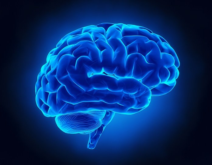 Brain Test